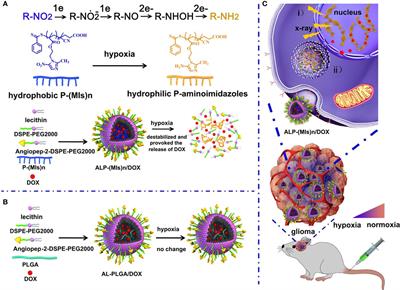 Application of New Radiosensitizer Based on Nano-Biotechnology in the Treatment of Glioma